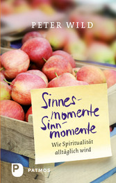 Sinnesmomente - Sinnmomente