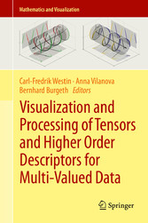 Visualization and Processing of Tensors and Higher Order Descriptors for Multi-Valued Data