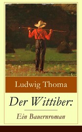 Der Wittiber: Ein Bauernroman