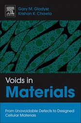 Voids in Materials