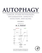 Autophagy: Cancer, Other Pathologies, Inflammation, Immunity, Infection, and Aging