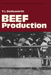 Beef Production