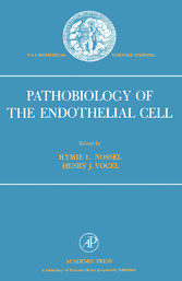 Pathobiology of the Endothelial Cell