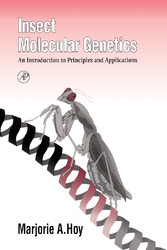 Insect Molecular Genetics