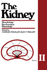 The Kidney