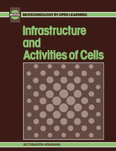 Infrastructure and Activities of Cells