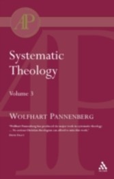 Systematic Theology Vol 3