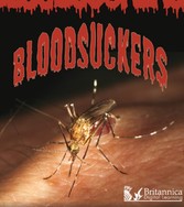 Bloodsuckers