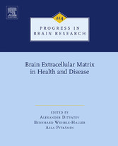 Brain Extracellular Matrix in Health and Disease