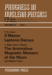 K Meson Leptonic Decays