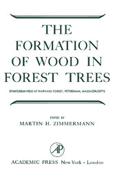 The Formation of Wood in Forest Trees