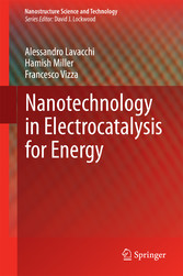 Nanotechnology in Electrocatalysis for Energy