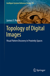 Topology of Digital Images