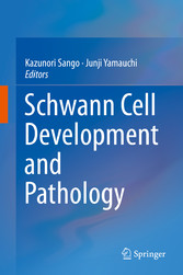 Schwann Cell Development and Pathology