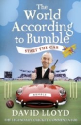 Start the Car: The World According to Bumble