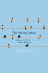 Homing Instinct: The Story and Science of Migration