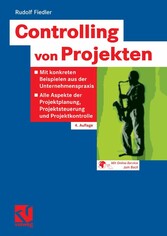 Controlling von Projekten