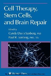 Cell Therapy, Stem Cells and Brain Repair