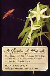 Garden of Marvels