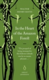 In the Heart of the Amazon Forest