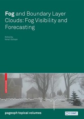 Fog and Boundary Layer Clouds