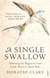 Single Swallow