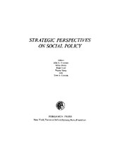 Strategic Perspectives on Social Policy