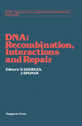 DNA - Recombination Interactions and Repair