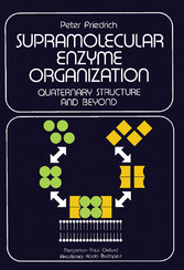 Supramolecular Enzyme Organization