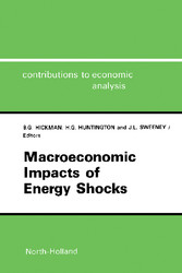 Macroeconomic Impacts of Energy Shocks