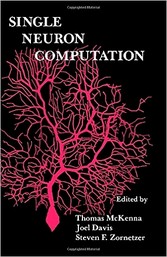 Single Neuron Computation