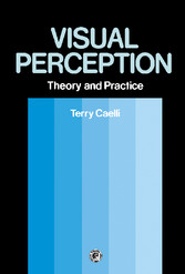 Visual Perception: Theory and Practice