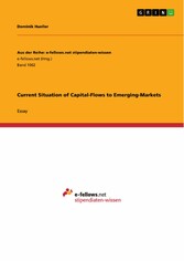 Current Situation of Capital-Flows to Emerging-Markets