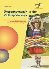 Gruppendynamik in der Zirkuspädagogik: Eine Studie zu den gruppendynamischen Veränderungen während eines zirkuspädagogischen Schulprojekts