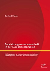 Entwicklungszusammenarbeit in der Europäischen Union: EU-Förderungen für Nichtregierungsorganisationen am Beispiel von 'Nuestros Pequeños Hermanos'