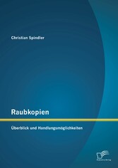 Raubkopien: Überblick und Handlungsmöglichkeiten