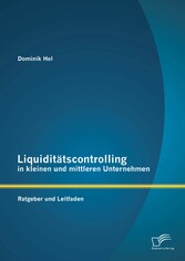 Liquiditätscontrolling in kleinen und mittleren Unternehmen: Ratgeber und Leitfaden