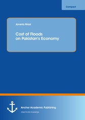 Cost of Floods on Pakistan's Economy