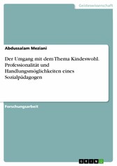 Der Umgang mit dem Thema Kindeswohl. Professionalität und Handlungsmöglichkeiten eines Sozialpädagogen