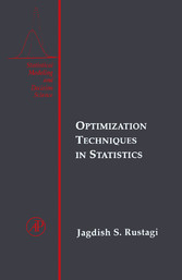 Optimization Techniques in Statistics