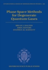 Phase Space Methods for Degenerate Quantum Gases