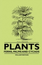 Plants - Ferns, Palms and Cycads