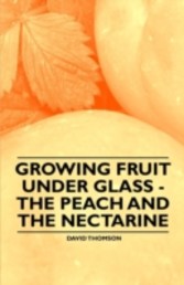 Growing Fruit Under Glass - The Peach and the Nectarine