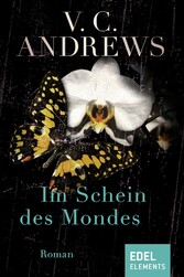 Im Schein des Mondes