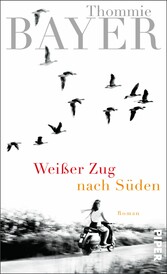 Weißer Zug nach Süden