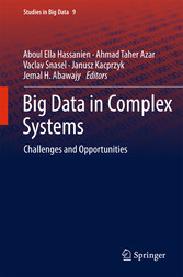 Big Data in Complex Systems