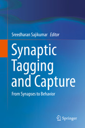 Synaptic Tagging and Capture