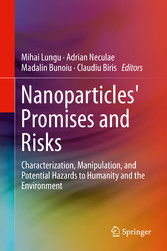 Nanoparticles' Promises and Risks