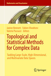 Topological and Statistical Methods for Complex Data