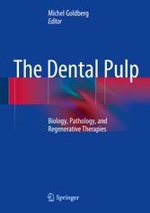 The Dental Pulp